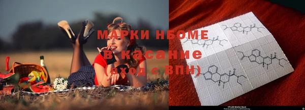 стаф Вязники