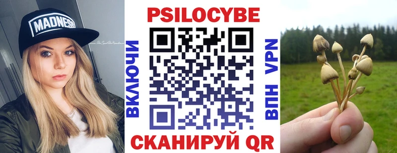 площадка какой сайт  купить наркоту  Джанкой  Псилоцибиновые грибы мухоморы 